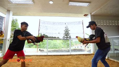 Expert Sabong Lessons with RA Superfly Masterclass .